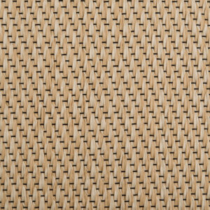 Sahara